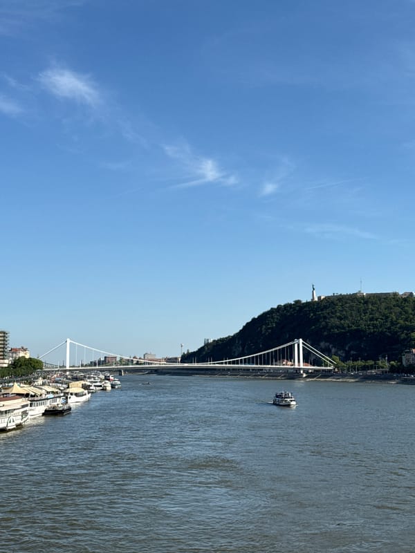 Afternoon riverside documentation captures Budapest's bridges and Danube activity