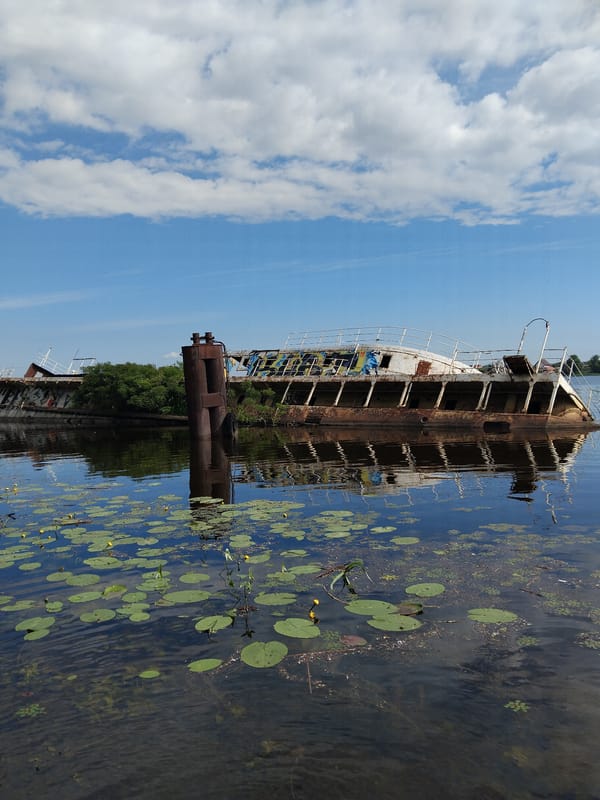 Kyiv riverbank: abandoned vessels, dogs, and overgrown edges