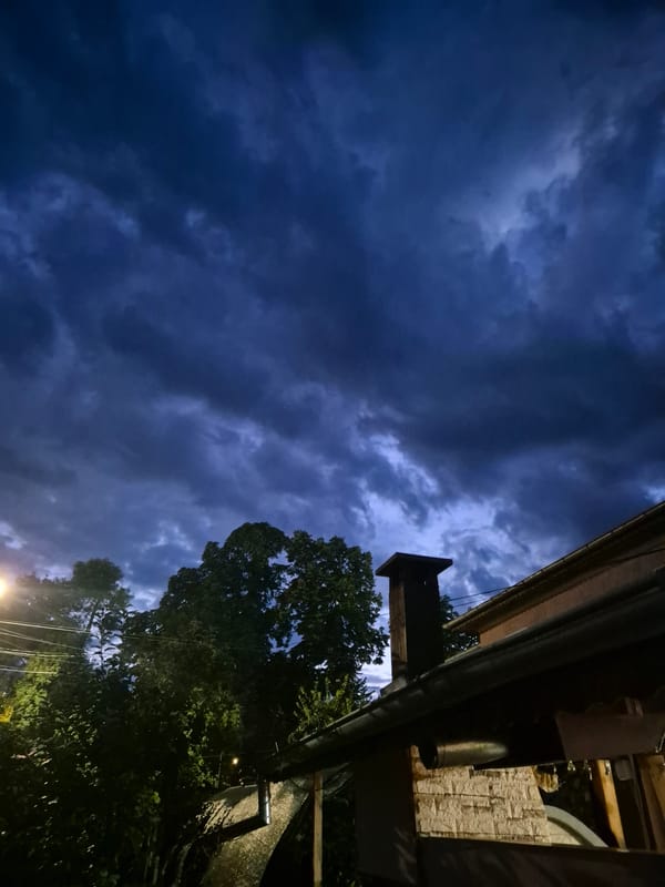 Evening backyard hangout with fruit trees and a stormy sky