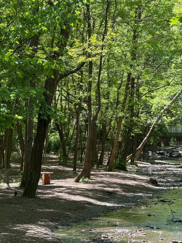Morning park walk with dog documented across Sofia, Bulgaria