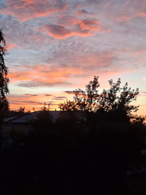 Pink hollyhocks and a vivid sunset over Murom