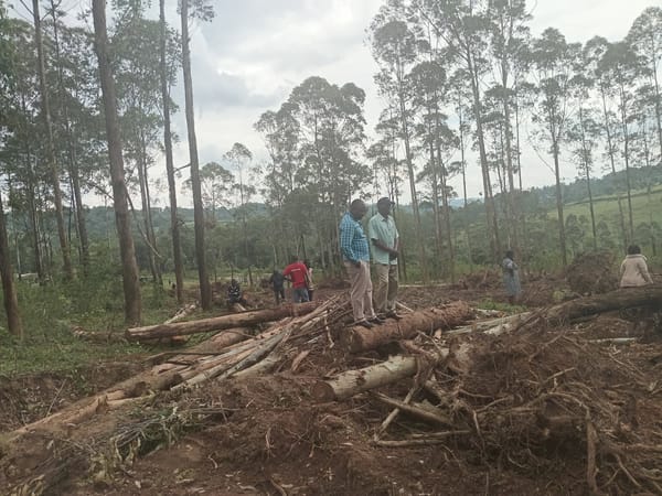 Group gathers at active deforestation site in Kenya's Moticho ward