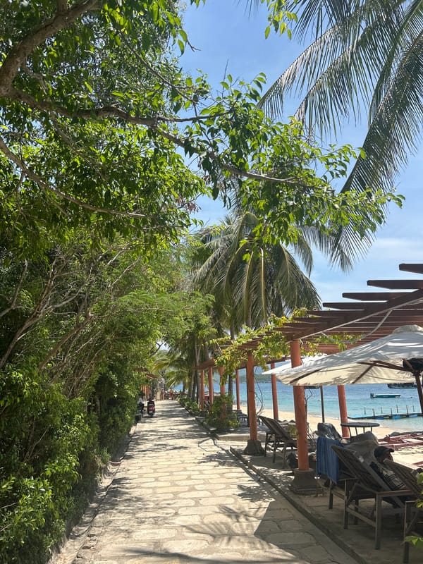 Sunny morning along Nha Trang's palm-lined beachfront