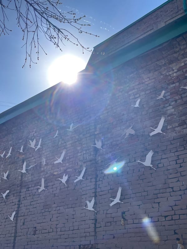 Musical instruments and bird art installations spotted in Yekaterinburg
