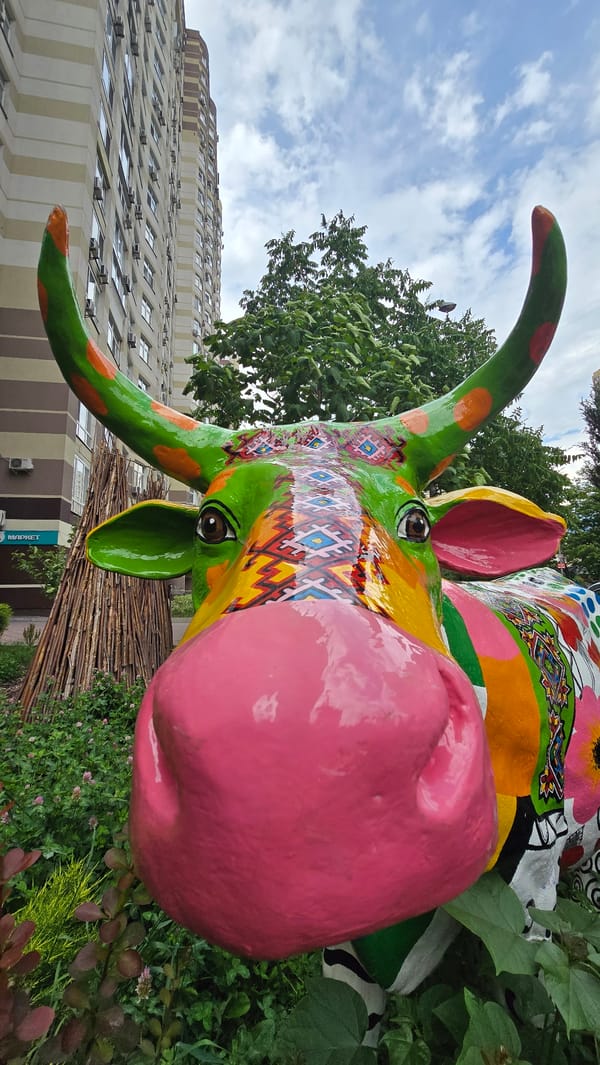 Kyiv resident captures colorful street art and urban wildlife