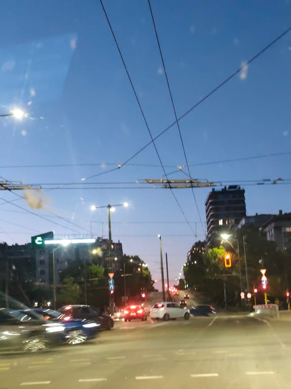 Evening documentation captures Sofia street scenes and dining moments