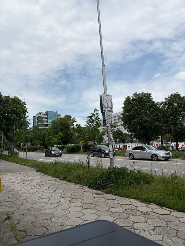 Street scene captured in Varna showing parked cars, vegetation