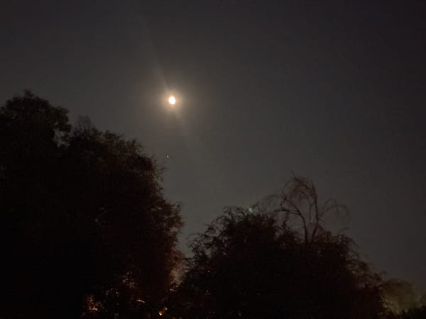 Full moon rising over trees and city rooftops