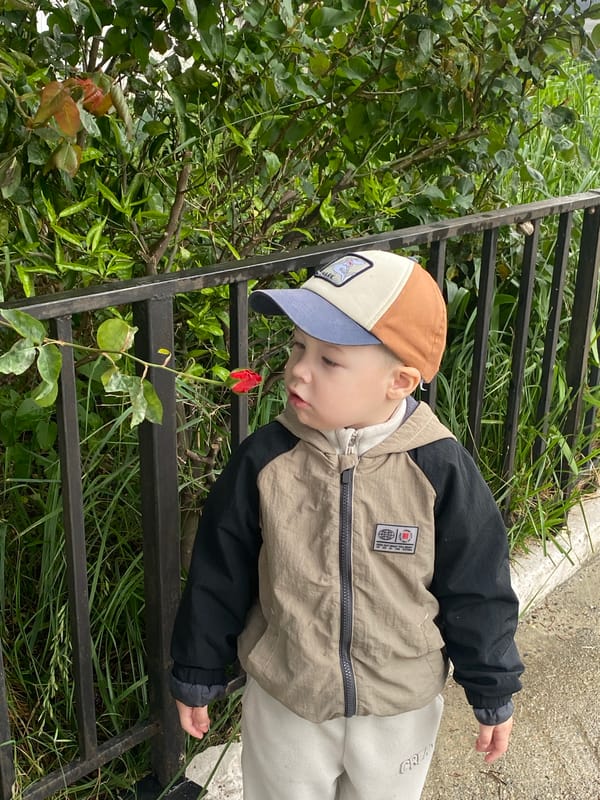 Child discovers rose growing through street grate in Sochi