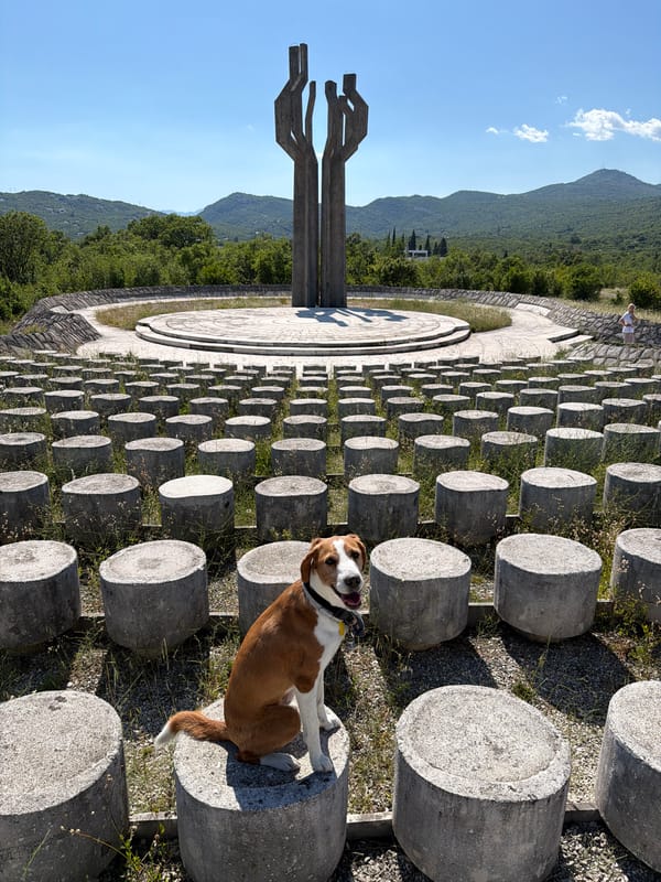 Dog spotted at concrete monument in Liješnje, Montenegro