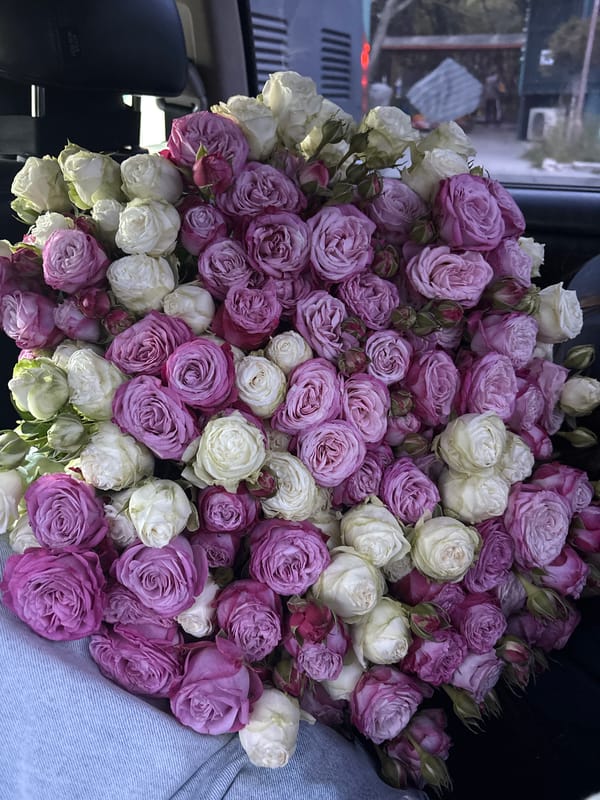 Rose bouquets spotted during golden hour in Yerevan