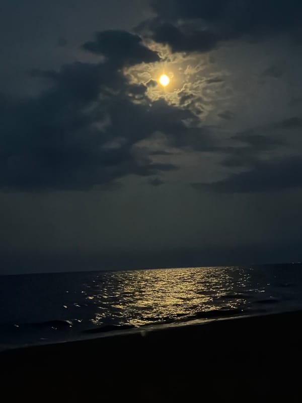 Moonlit beach bike ride with cats and pizza at home