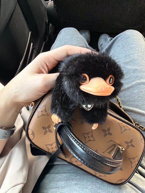 Woman displays Louis Vuitton bag with Niffler charm in Beijing