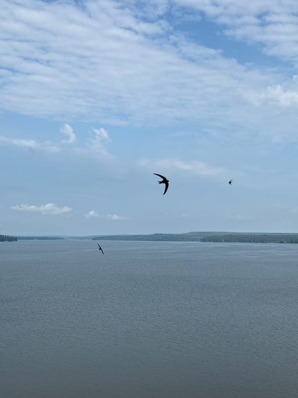 Calm morning on the Kama River and Votkinsk Reservoir