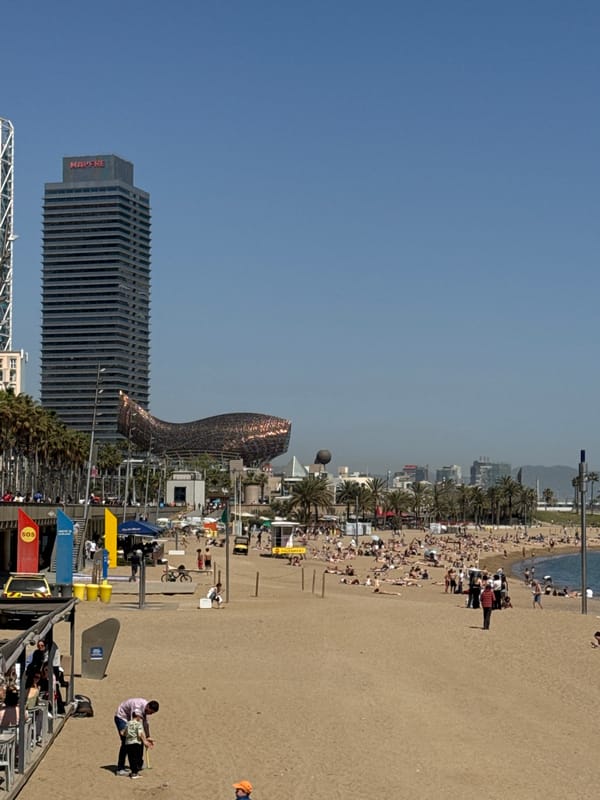 Morning snapshots capture everyday Barcelona park and boardwalk scenes