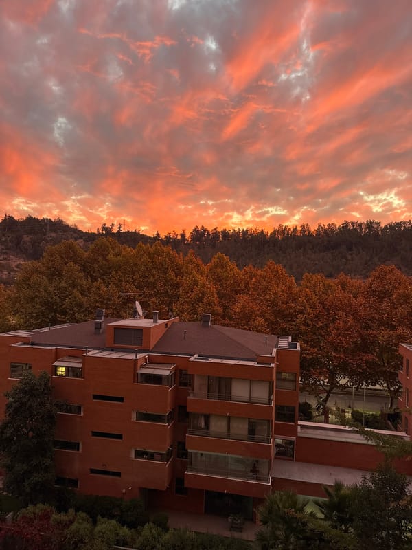 Evening sunset and autumn street scenes documented in Vitacura
