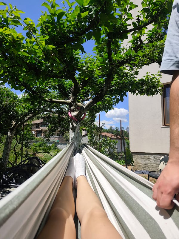 Person relaxes in hammock amid garden with apple trees