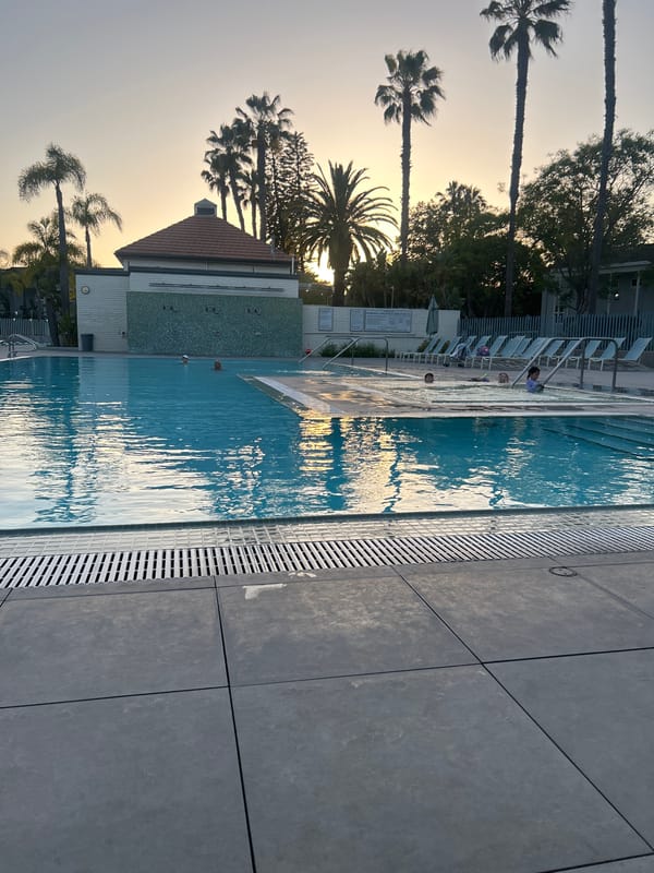 Peaceful pool scene photographed in Los Angeles evening light