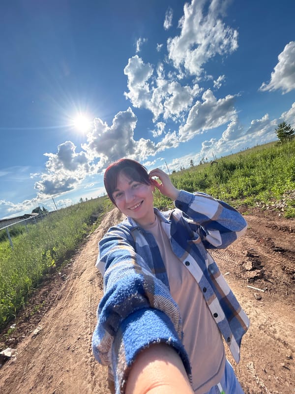 Quick roadside stop in rural Russia, pine trees and sunny skies