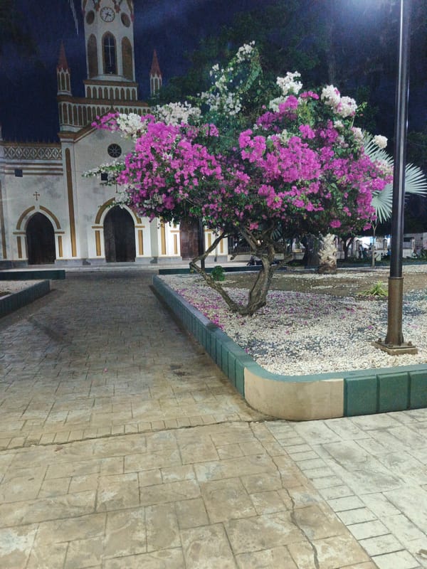 Evening scenes captured in Tinaquillo: church square and stray cat