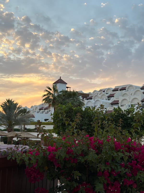 White resort architecture captured amid blooming bougainvillea in Sharm El Sheikh