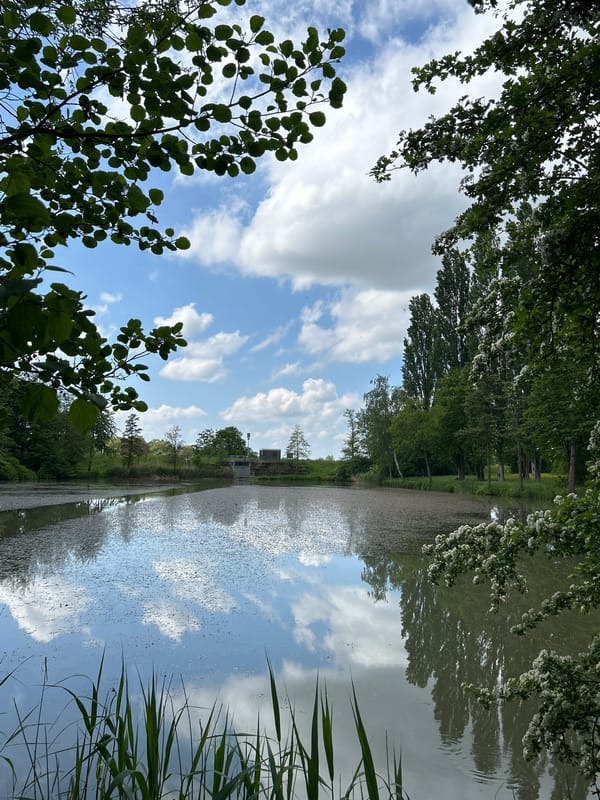 Waterscape with cloud reflections observed in Flein, Germany