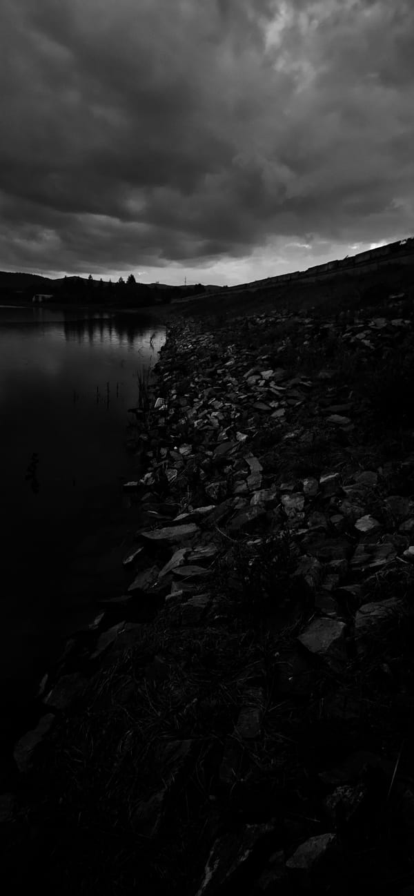 Twilight lakeside scene with dog captured in rural Bulgaria