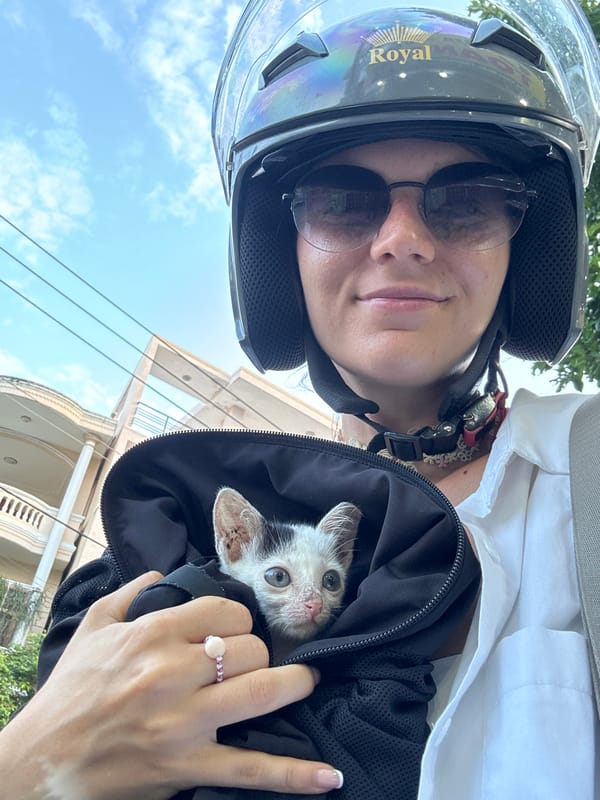 Roadside stop in Phan Thiết: kitten in a bag, durians for sale