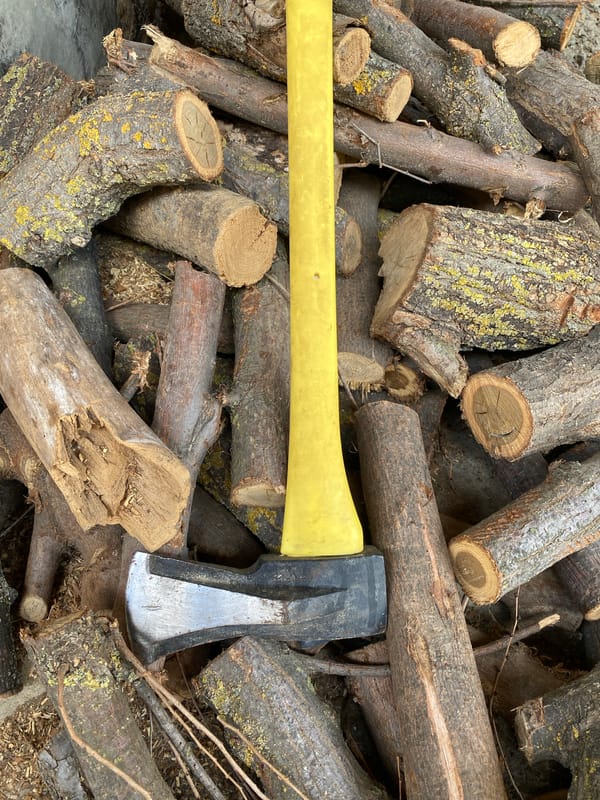Dogs, firewood, and odds and ends on a quiet morning