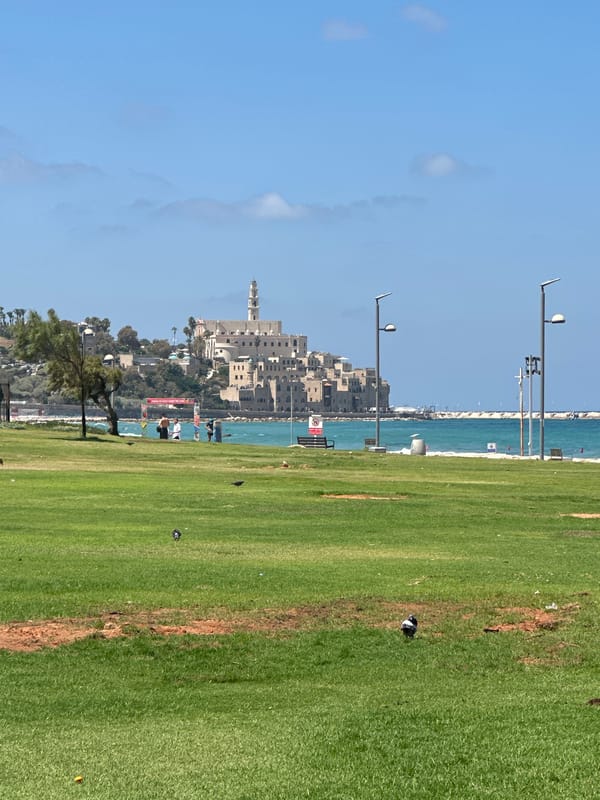 Sunny morning along Tel Aviv's coastal parks and seafront