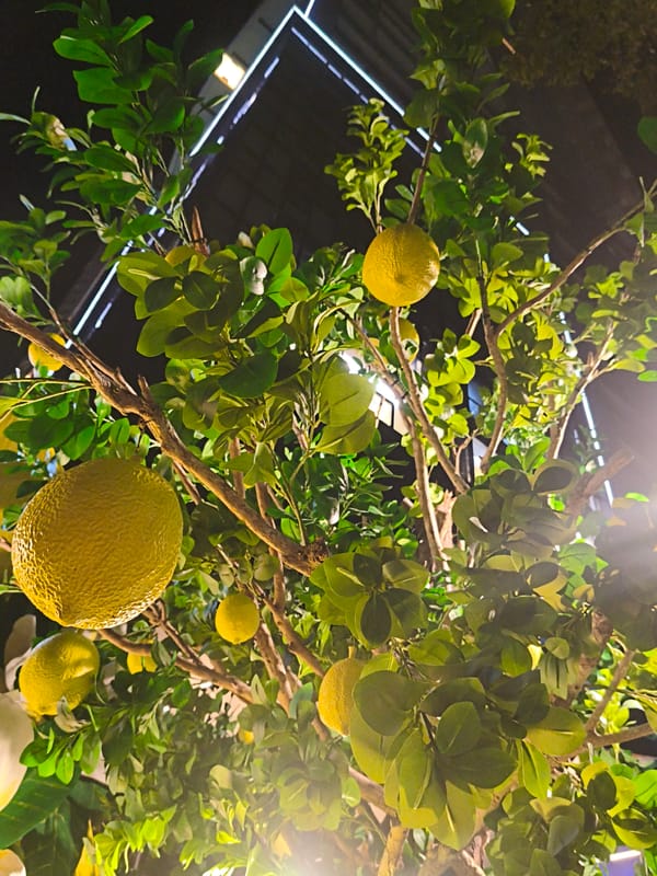 Night out around Goldcoast Shopping Mall in Nha Trang