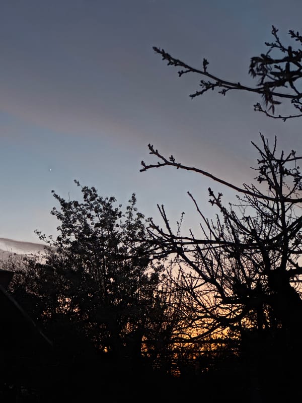 Stork nests on rooftop in Kozloduy, Bulgaria
