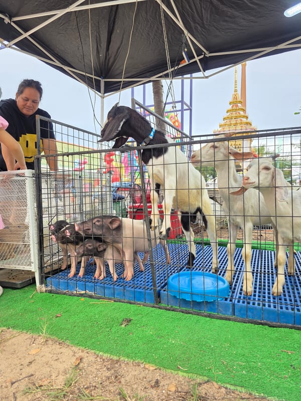 Street market in Ban Phala: seafood, sweets, and live animals