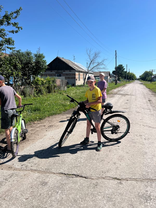 Goats, dirt roads, and slow summer morning in rural Pivkino