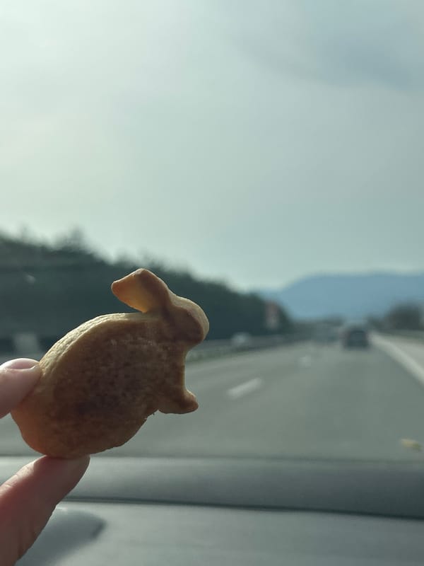 Animal-shaped cookies displayed during travel in Церово, Bulgaria