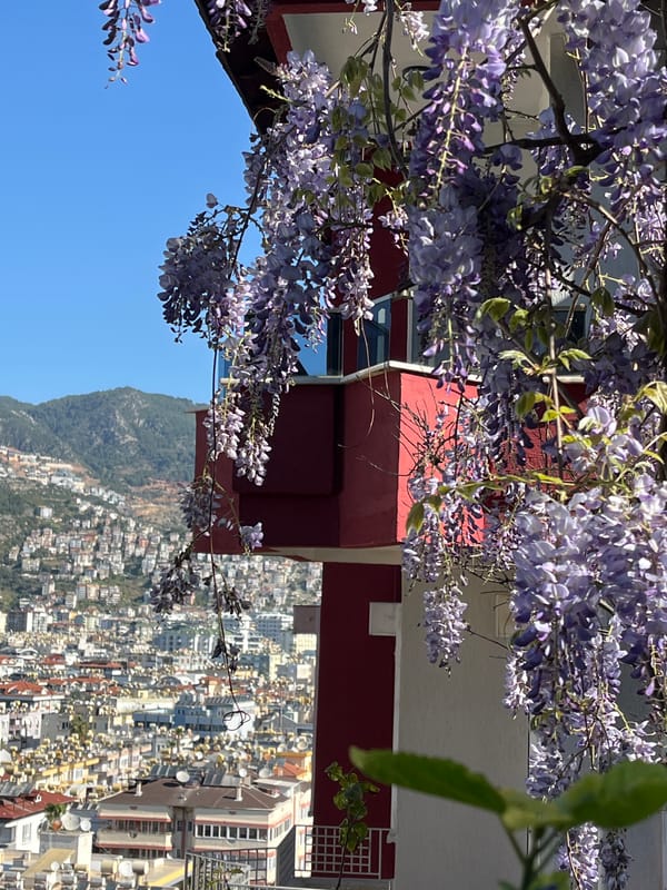 Morning graduation ceremony held in Alanya park setting