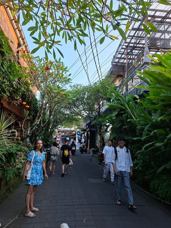 Daily life moments captured across Ubud District, Indonesia