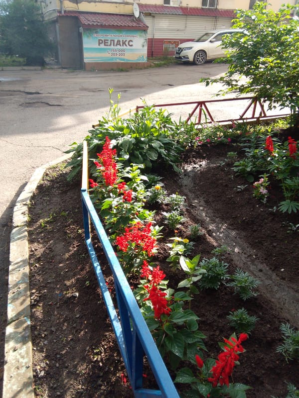 Summer greenery and street life around a Khabarovsk residential complex