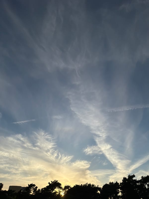 Midsummer evening in Helsingborg: skies, pines, and pink ice cream