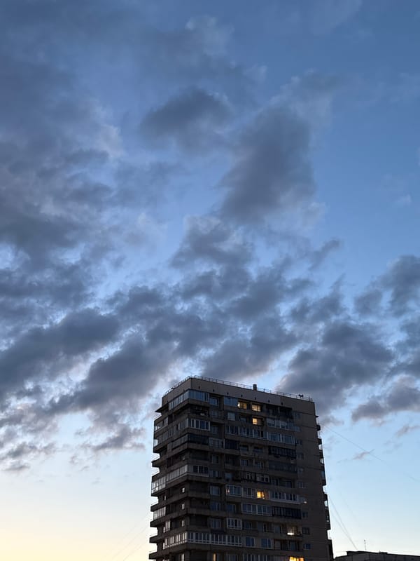 Evening tour through Saint Petersburg's urban landscape and riverfront
