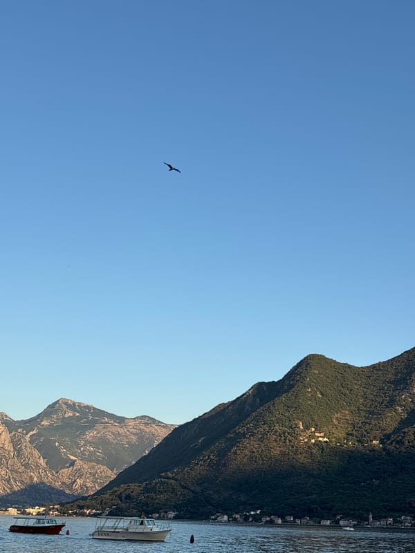 Perast waterfront on a clear afternoon, bay and mountains