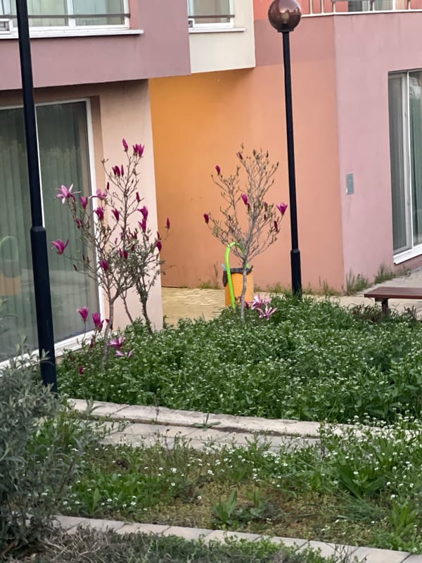 Daily life scenes documented across Burgas, Bulgaria