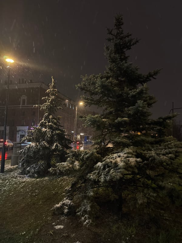Evening snowfall blankets Moscow trees and buildings