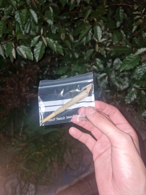 Individual spotted with suspected marijuana in Madrid