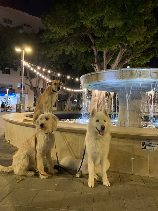 Evening life documented across Tel Aviv neighborhoods