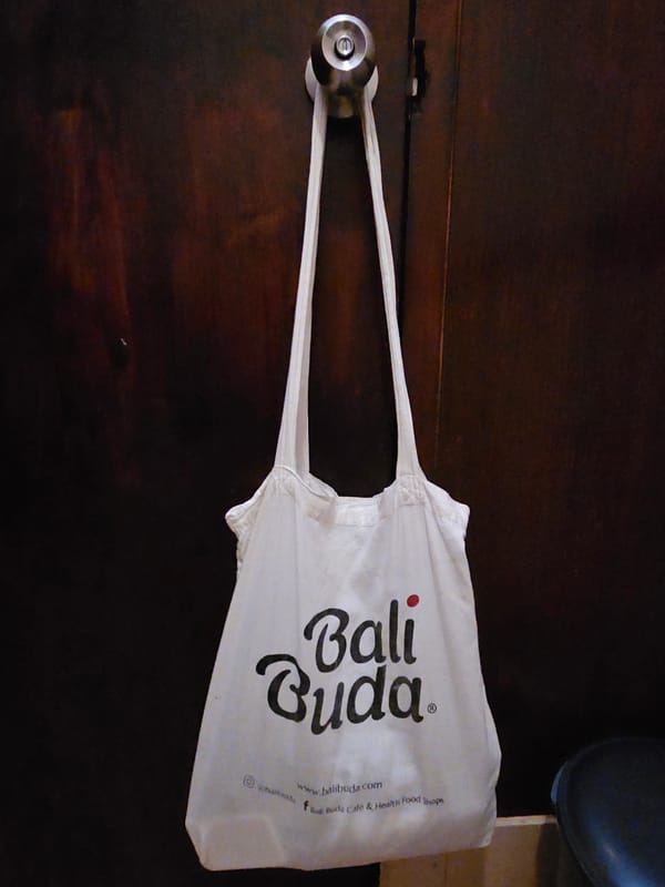 Morning street scenes captured in Denpasar: cat, cow, tote bag