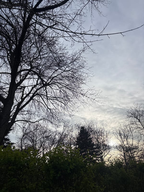 Spring blooms carpet Burgas park under cloudy skies