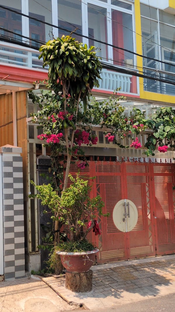 Street scene captured in Đà Lạt's Xuân Hương district