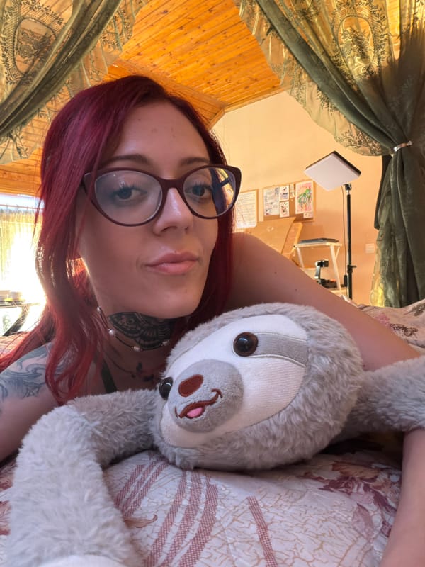Slow morning in a Svilengrad attic room with a plush sloth