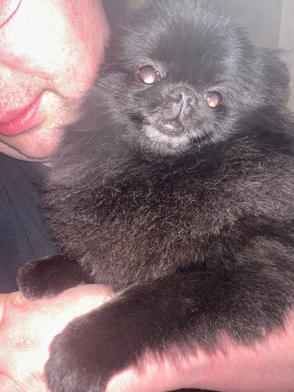 Man and black dog captured in domestic gathering, Izhevsk